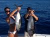 Islamorada_florida_keys_spectacular_tuna_fishing.JPG