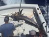 Islamorada_swordfish_fishing_florida_keys_2016.JPG