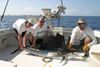 JUNE_6_TRIP_040.JPG