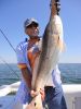 J_T_Reddrum-jpeg1.jpg