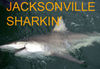 Jacksonville-sharkin_.jpg