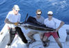 Jacobs_Sailfish.jpg