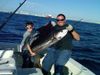 Jan_16_2011_Sailfish_web.jpg