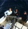 Jan_4_2012_Sailfish_web.JPG