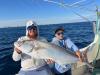 January_2025_Amberjack.jpg