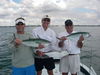 January_25_2012_004.jpg