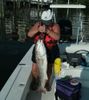 Jeanne_Curry_Redfish_2009_Photos_004_1_.jpg