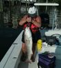 Jeanne_Curry_Redfish_2009_Photos_004_1_1.jpg