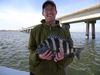 Jeff_Jordan_Sheepshead-jpeg.jpg