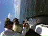 Jenkins_Boca_grande_Tarpon_jpg.JPG