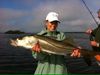 Jennifer_s_Boca_Grande_Snook.jpg