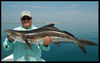 Jim_June_cobia.jpg