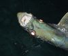 John_M_Mar_15_2014_1.JPG
