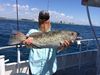 Johnny_with_a_nice_black_grouper_caught_aboard_the_Catch_My_Drift.JPG