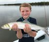 July2017MatthewLadyfish.jpg