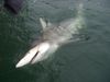 July_2008_019.jpg