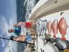 July_2026_barracuda.jpeg