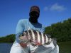 July_4_Sheepshead_on_Artificial.JPG