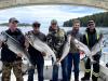 June16_2_Zadderey_1200.jpg
