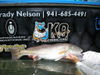 K-9_REDS_012.JPG