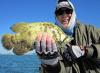 KenBabineauSarasotaflytripletail.jpg