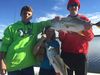 Kids_Fishing_Tampa_Florida.JPG