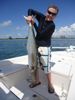 Kingfish_021.JPG