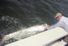 KirkGrassettSarasotaflytarpon2.jpg