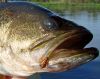 Lake_Manatee_9-28-09_0001_edited-1.JPG