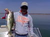 Largemouth_Bass_Fishing_on_Lake_Ray_Roberts.jpg