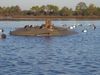 Layout_Boat.jpg