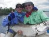 Lee_Haskin_s_Tarpon2.jpg