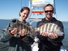 Lola_chasing_snook_videos_007.jpg