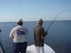 Lola_chasing_snook_videos_016.jpg