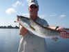 Lola_chasing_snook_videos_047.jpg