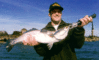 Lovin_7_pound_jetty_trout.GIF