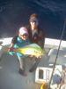 Mahi_Mahi_Marc.jpg