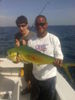 Mahi_Mahi_Porter.jpg