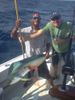 Mahi_Mahi_Travis.jpg