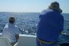 March72011c.JPG