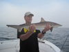 MarkHuneke36Blacktip.JPG