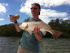 Mark_s_27_inch_redfish_Photo_Capt_Rob_Modys.JPG