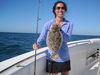 MarlaBachrach18Flounder.JPG