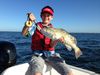 Matt_Goldsberry_Jr_Gag_grouper_Grouper_Photo_Capt_Rob_Modys.JPG