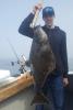 May27_1200_halibut.jpg