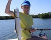 May28_2012_Ladyfish.jpg