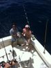 May_1_2011_Amberjack_Web.JPG