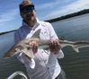 May_2025_NickWisShark.jpg