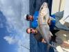 May_2026_Amberjack.jpeg
