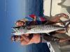 May_2026_King_Mackerel.jpeg